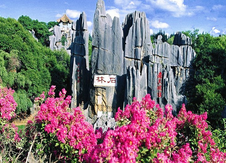 昆明+大理+风花雪月+丽江+玉龙雪山5天4晚VIP独立成团游(图2) 昆明+大理+风花雪月+丽江+玉龙雪山5天4晚VIP独立成团游(图2)