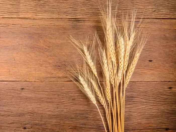 Top 10 Benefits of Barley