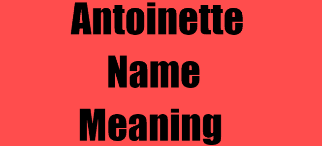 Antoinette Name Meaning