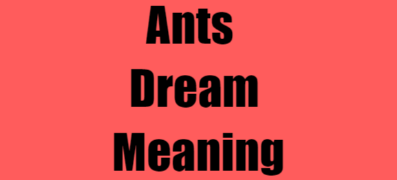 Ants Dream Meaning