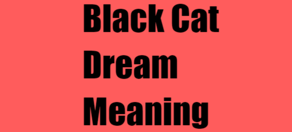 Black Cat Dream Meaning
