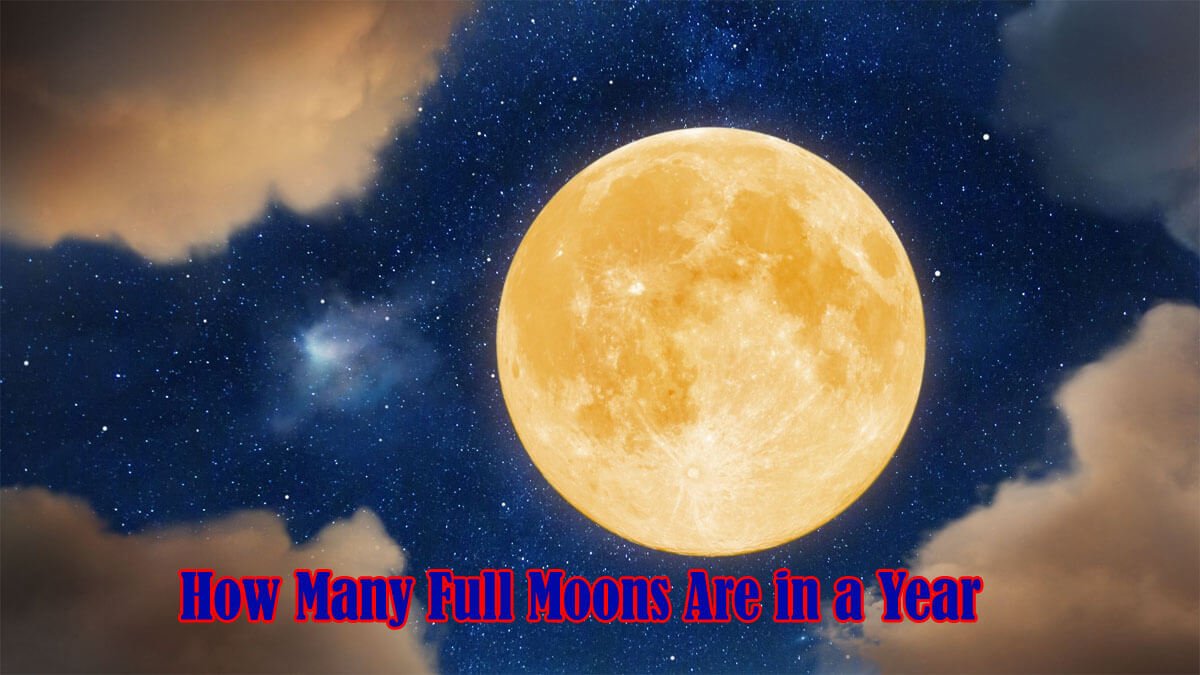 How Many Full Moons Are in a Year?