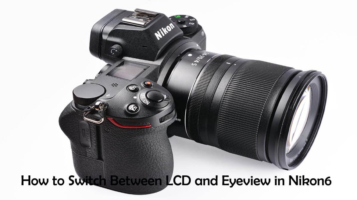 How to Switch Between LCD and Eyeview in Nikon6