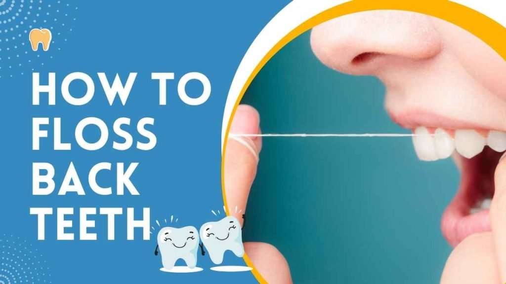 How to Floss Back Teeth