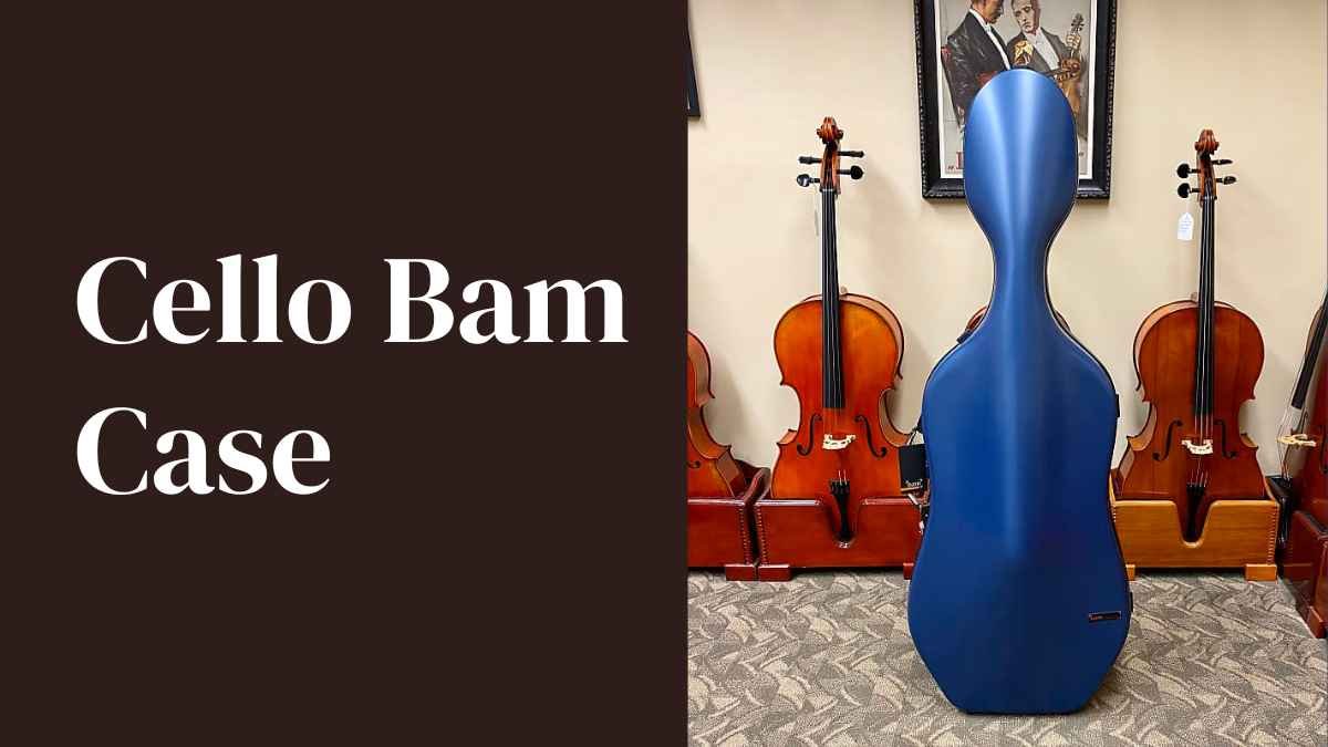 Cello Bam Case